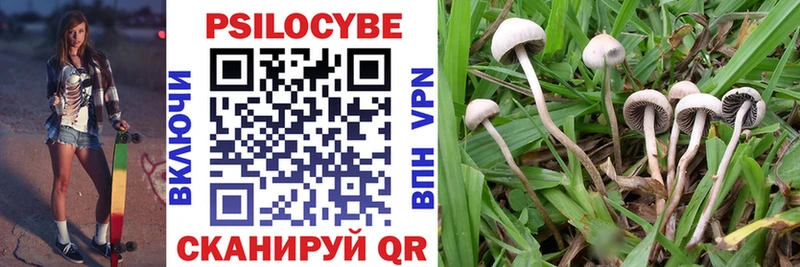 Купить закладки  Юрюзань  Галлюциногенные грибы Magic Shrooms 